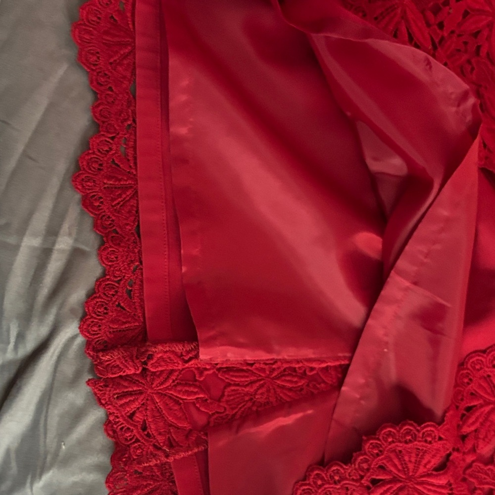 Talbots Red Lace Pencil Skirt - Picture 5 of 7